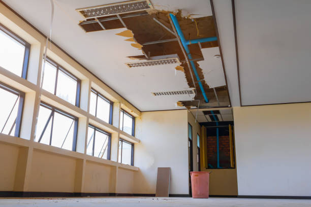 Best Water damage cleanup near me  in Hialeah, FL