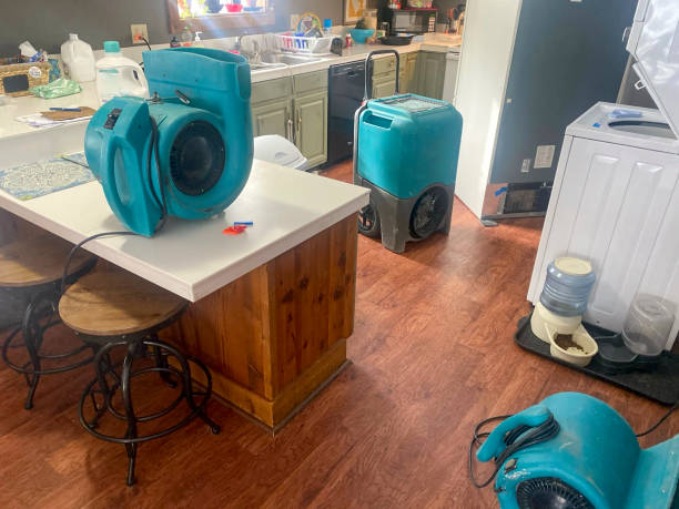 Best Sewage cleanup and water damage restoration  in Hialeah, FL