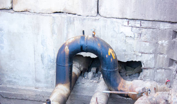 Best Water damage restoration specialists  in Hialeah, FL