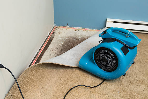 Best Emergency water damage restoration  in Hialeah, FL
